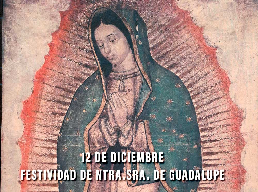 Tilma Guadalupe